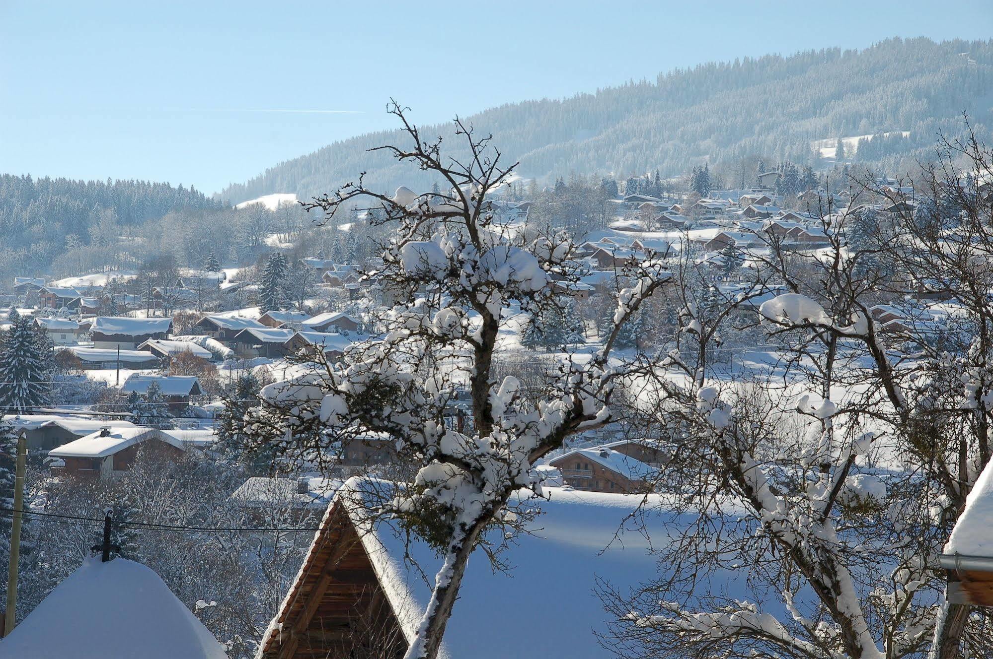 Logis Hôtel Le Caprice Des Neiges Combloux Exterior foto