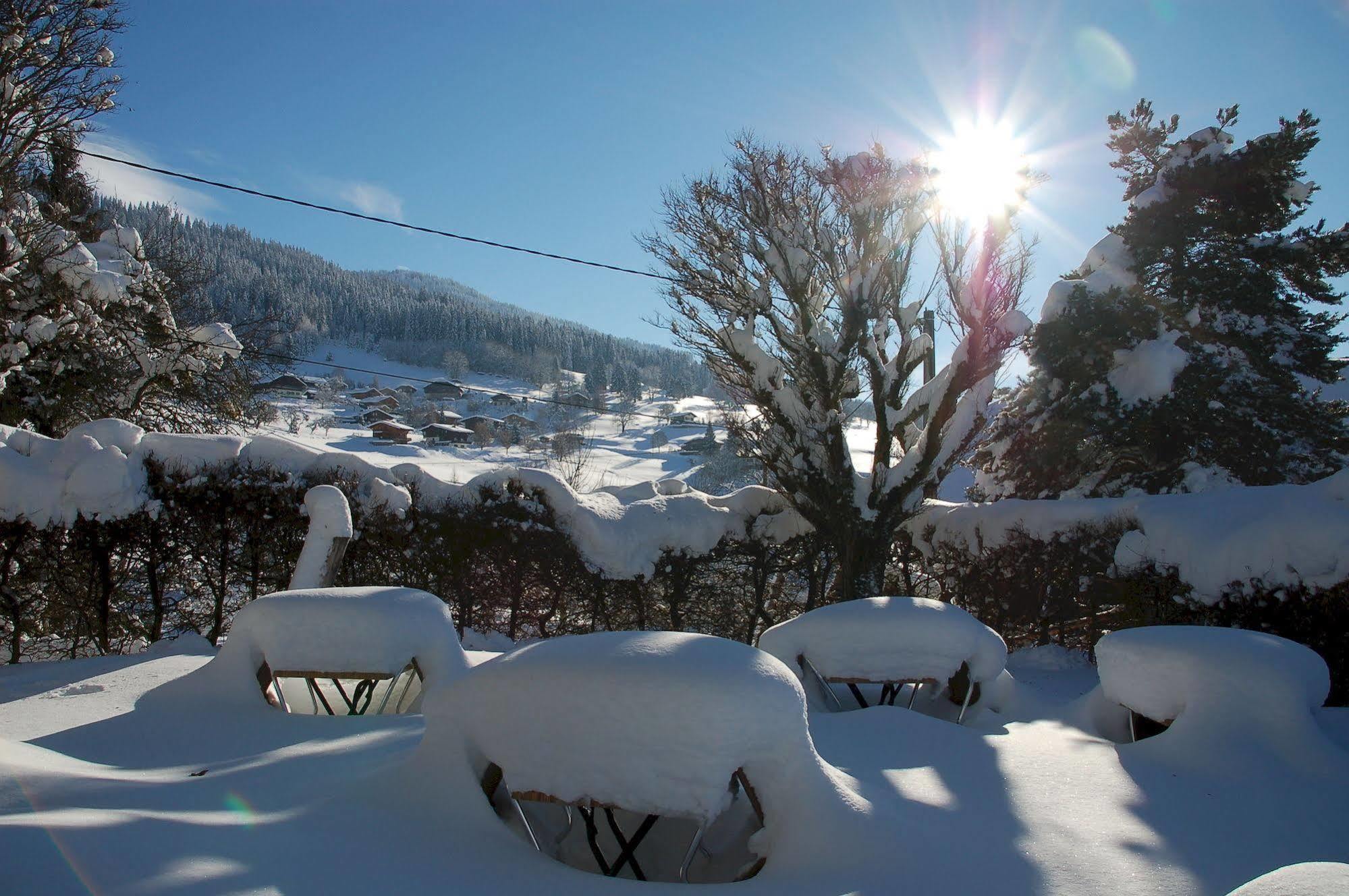 Logis Hôtel Le Caprice Des Neiges Combloux Exterior foto